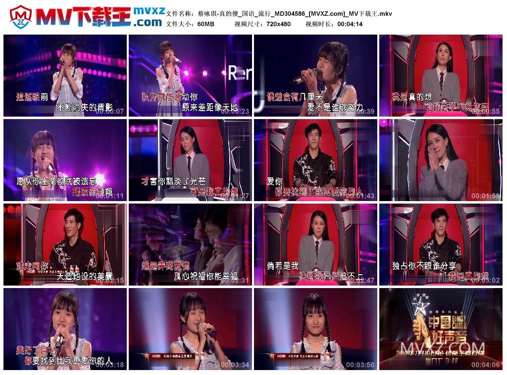 蔡咏琪-真的傻_国语_流行_MD304586